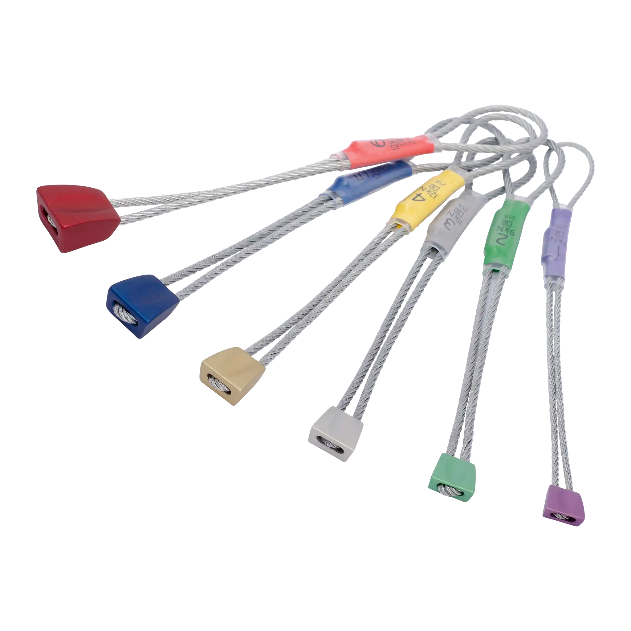 Wallnuts - Set / 1-6