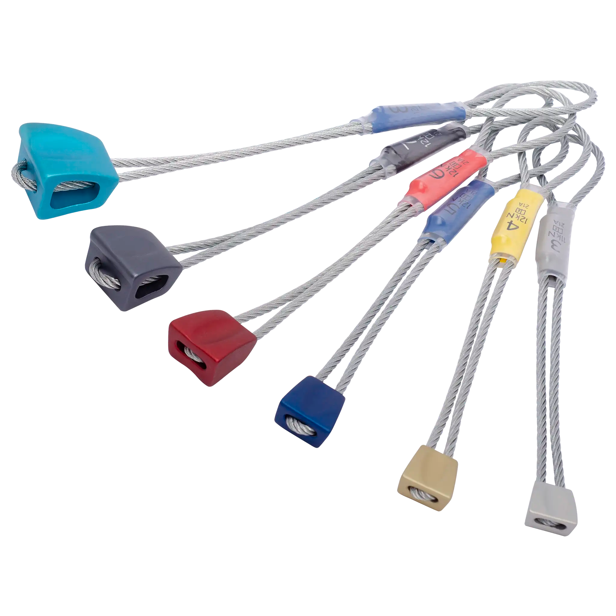 Wallnuts - Set / 3-8