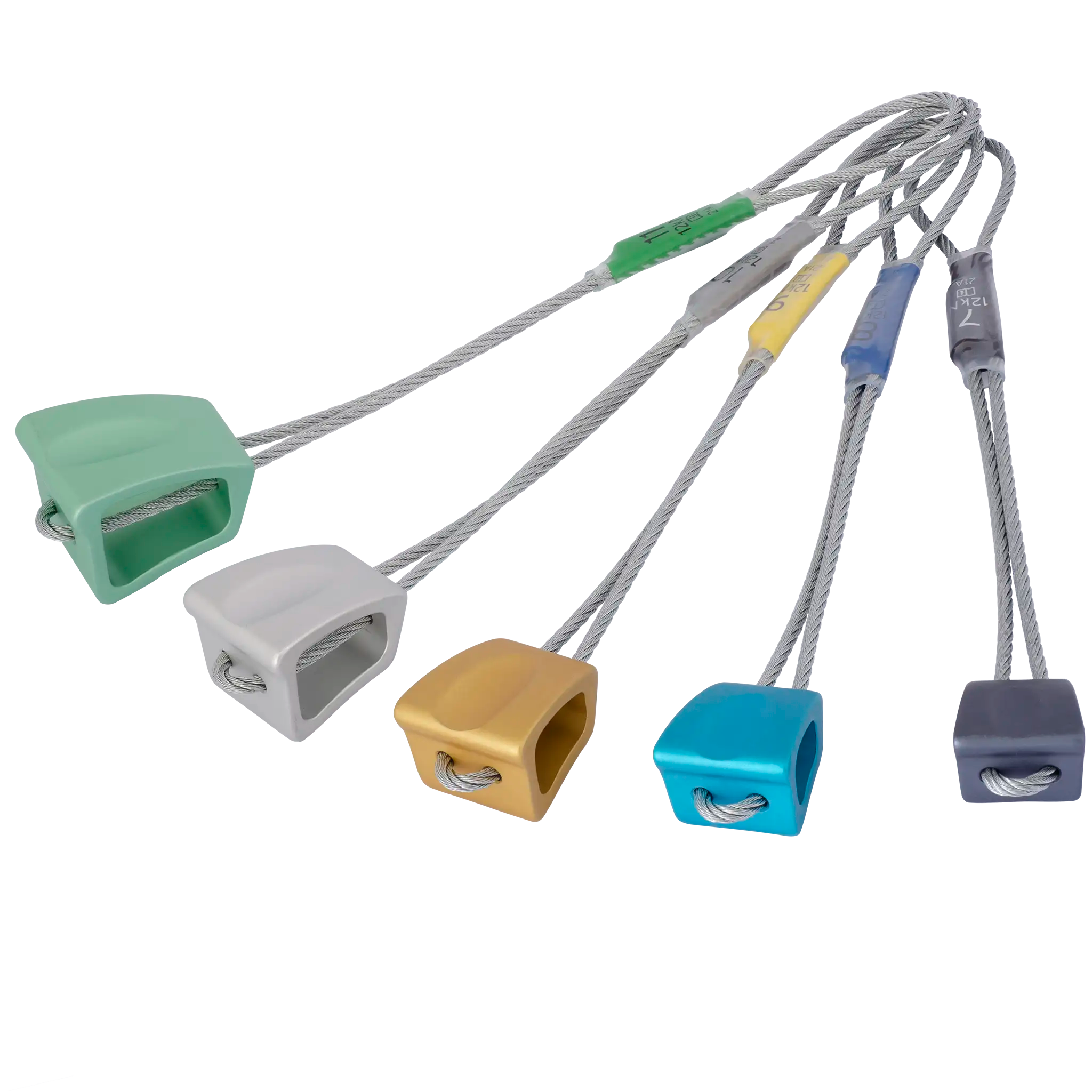 Wallnuts - Set / 7-11