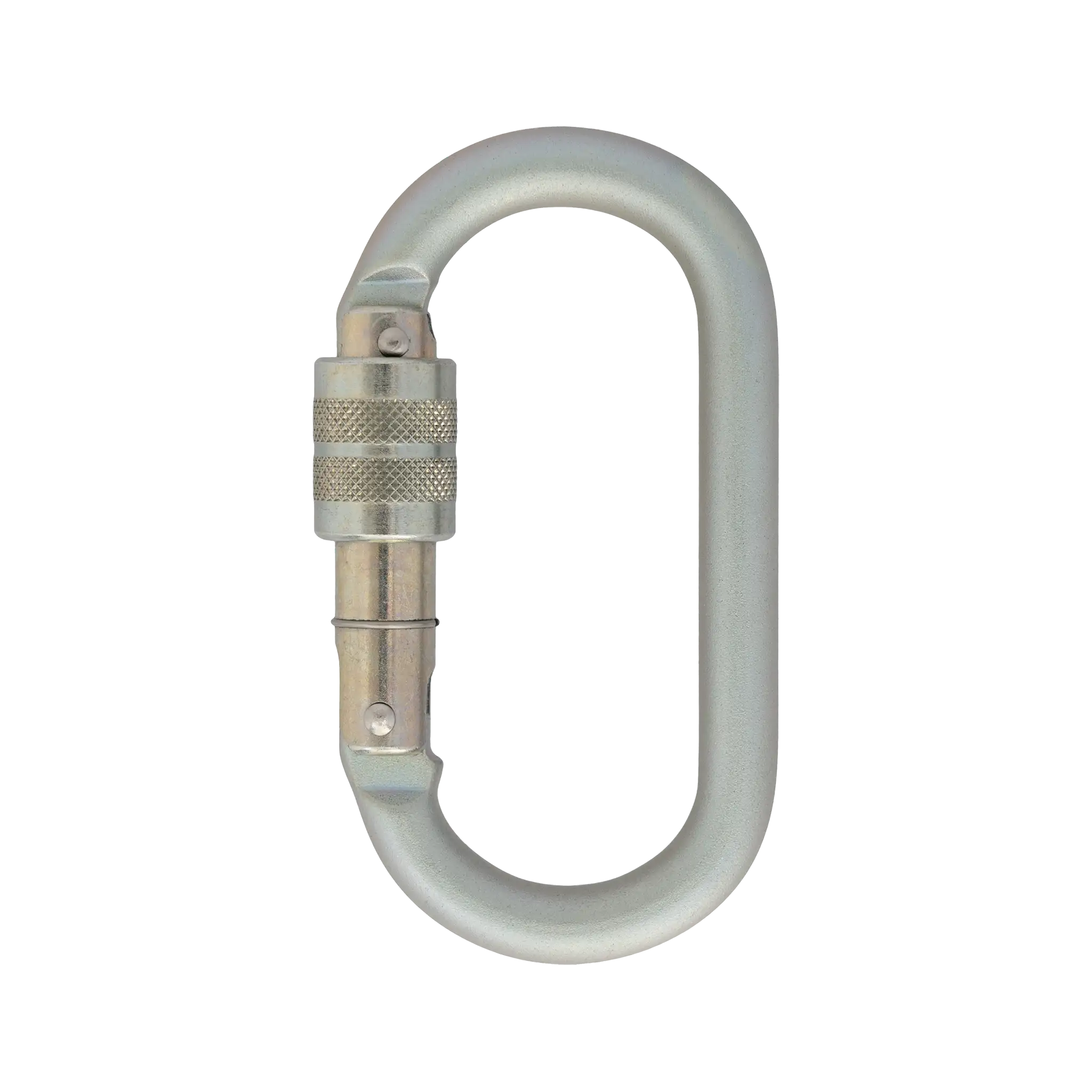 10mm Steel Oval - Screwgate