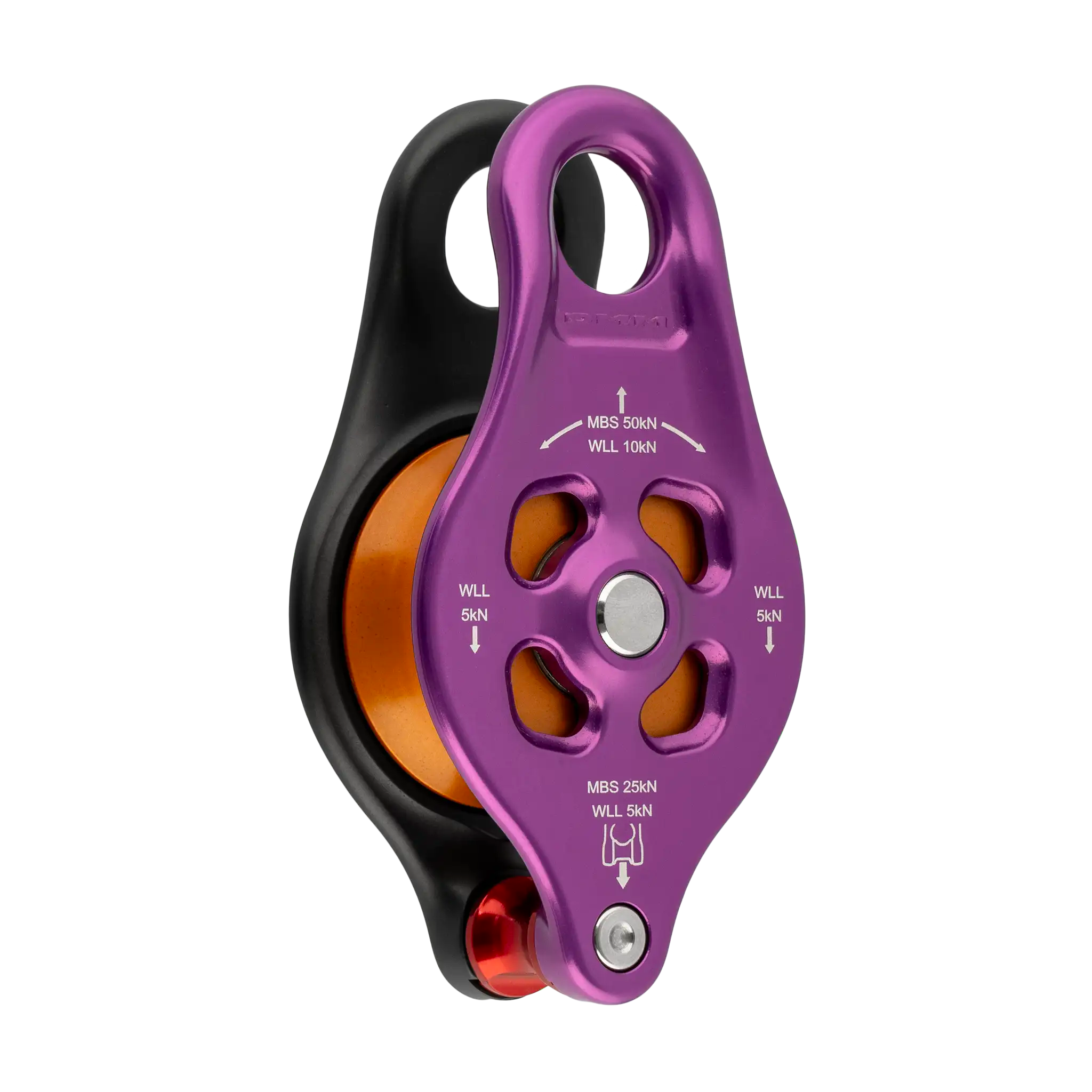Pinto 2 - Pinto Rig 2 / Purple