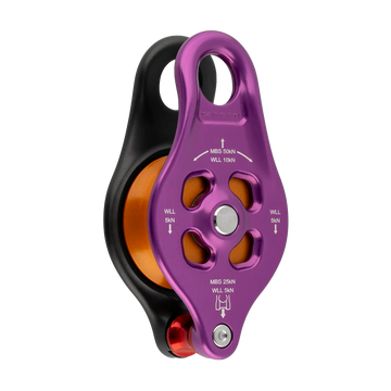 Pinto 2 - Pinto Rig 2 / Purple – pulley
